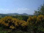 Looking towards the Torrs from the Brahan road.