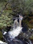 Marybank area