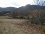 Looking towards Milton burial ground, Strathconon