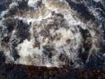 Orrin Dam outfall