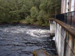 Orrin dam tailrace