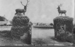Ornamental Stags