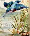 Watercolour from Visitors' book