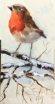 Watercolour from Visitors' book