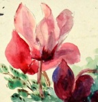 Watercolour from Visitors' book