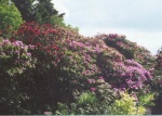 Brahan Estate - Gardens and Grounds