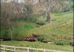 Site of remains of the foundations of the Carden Mill.