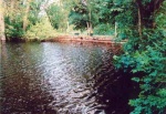 The mill lade and dam can still be seen today
