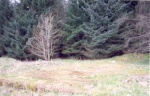 The Camp as it was in 1998