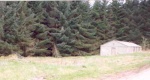 In 1998 the one remaining hut was still being used by the local Venture Scout Group.