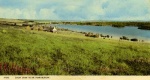 A postcard view of Loch Ussie