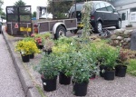 10 Maryburgh Memorial Garden