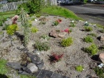19 Maryburgh Memorial Garden