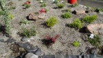 21 Maryburgh Memorial Garden