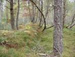 Old Railway line - photo 2