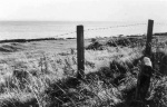 Remnants of the old graveyard at Old Shandwick Farm.