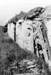 Use of turf in a ruined cottage at Balnapaling.