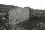 Taken in 1976 at Caanruidh on Wester Rarichie