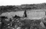 Taken in 1976 at Caanruidh on Wester Rarichie