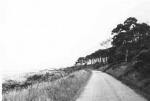 Shore road - unknown location