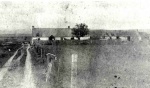 Lower Carse of Bayfield