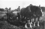Two horses and binder with two men.