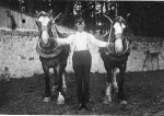 Two horses and William Ross