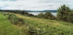 Part of the former Ardcronie farm overloking the Dornoch Firth.