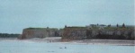 Dolphin watchers at Fort George