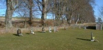 St. Martin's Burial Ground