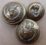 seaforth-highlanders-buttons-found-st-valery.jpg