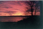 Dawns over the Firth