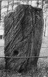 A standing stone, with its mysterious 'cup marks'