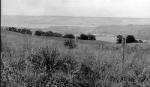 01 The site
