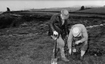 06 Some planting