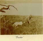 "Duke" (presumably the dog!)