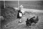 Donnie Mackenzie's niece, Chrisanna Maciver, feeding the hens