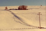 The great storm of January 1978. Alex John Maclennan's croft