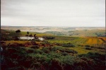 Autumn view of Saunders Campbell's pond