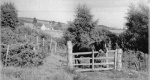 Duran and a horse - third scene