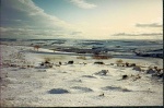 Winter view of Saunders Campbell's pond