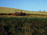 Harvesting