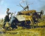 Harvest Problems at Redbank - 1960's