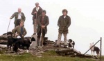 Sheep gathering with Robin Watson on top of Ben Wyvis.