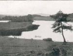 Loch Kinellan, near Strathpeffer.