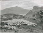Among the hills of Skye.