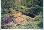 St John the Baptist well