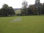 The wicket