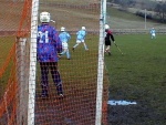 Shinty - photo 4