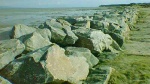 Latest defence against erosion